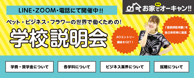 オンライン説明会