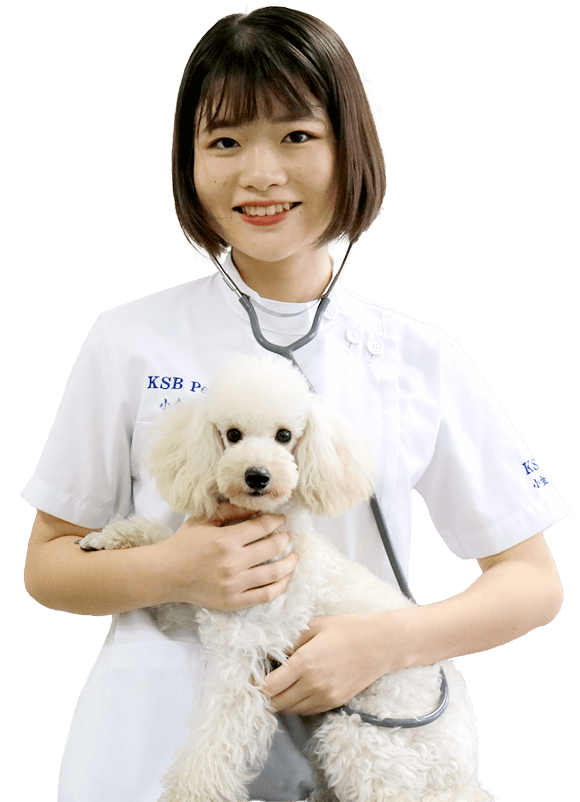 福岡 専門学校 九州スクール オブ ビジネス Ksb