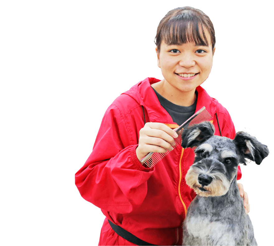 福岡 専門学校 九州スクール オブ ビジネス Ksb