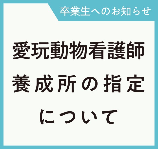 愛玩動物看護師国家資格受験をされる卒業生へ