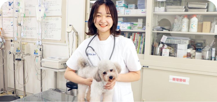 動物分野