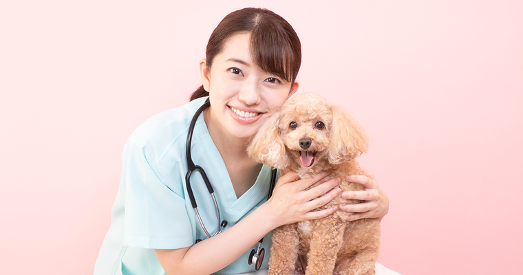 愛玩動物看護師
