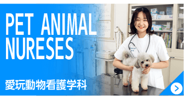 愛玩動物看護学科