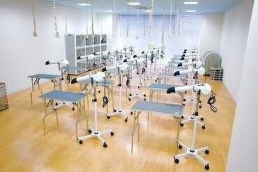 トリミング実習室