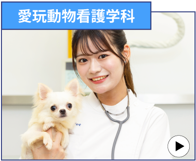 愛玩動物看護学科