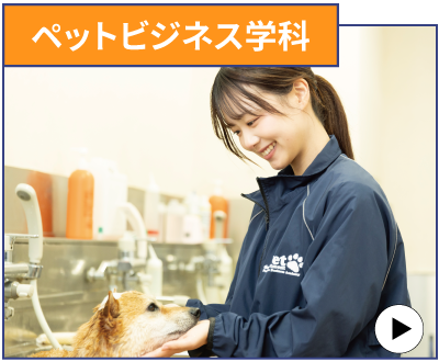 ペットビジネス学科
