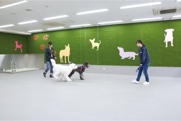 ドッグトレーニングルームで実習