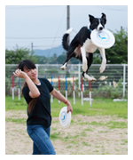 学外ドッグラン
