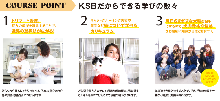 トリマー&看護専攻の双方を学ぶことで進路の選択肢が広がる!猫学など専門性の高いカリキュラムも充実!
