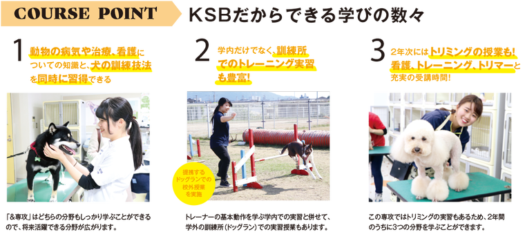 動物看護と同時に犬の訓練技法も習得でる!訓練所での校外授業も充実!トリミングの授業もある!