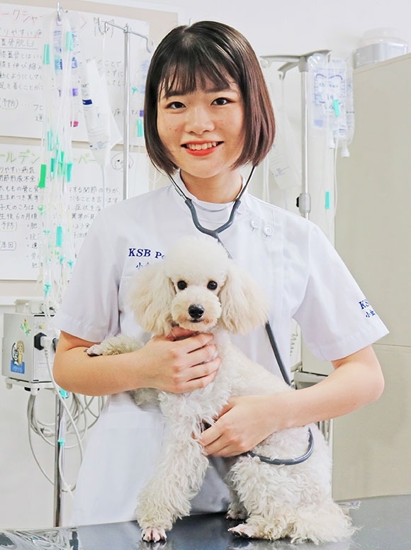学科の特徴 ペットビジネス学科 学科 コース 九州スクール オブ ビジネス 学科の特徴 ペットビジネス学科 学科 コース 九州スクール オブ ビジネス