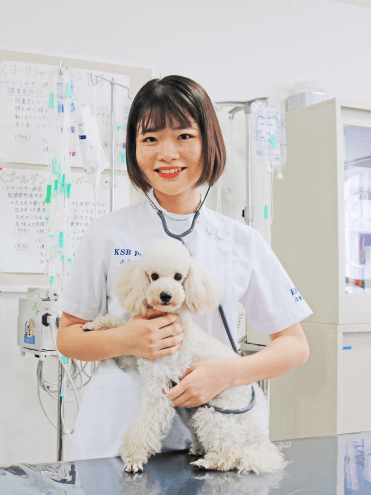 トリマー&動物看護専攻