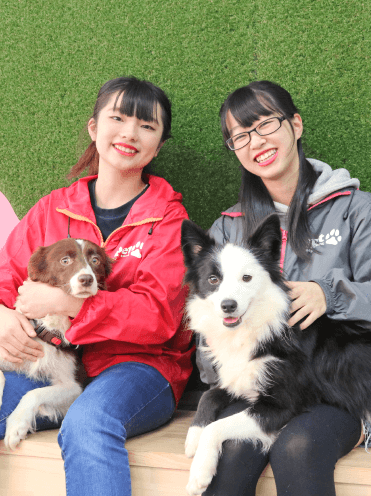 トレーナー&動物看護専攻