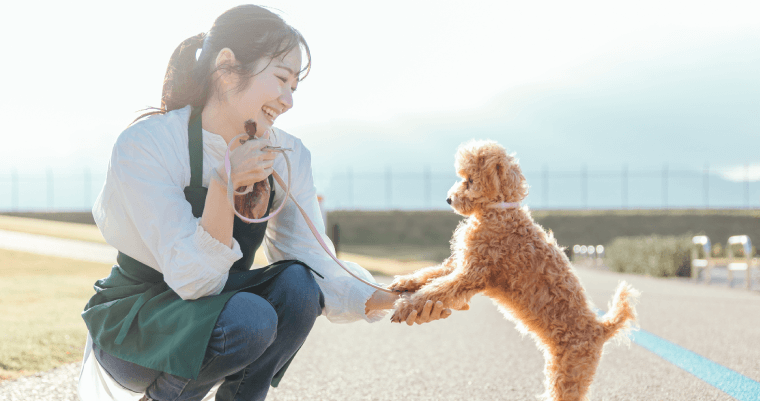 ドッグトレーナー（犬の訓練士）の収入はどれくらい？