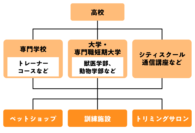 ドッグトレーナー（犬の訓練士）になるには？