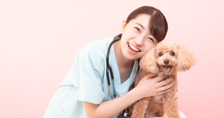 愛玩動物看護師はどんな仕事?