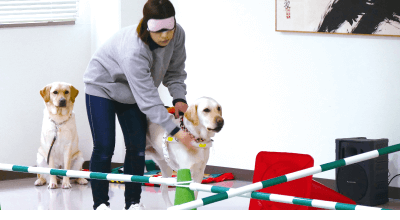 盲導犬協会訪問