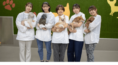 年間で最大3職種の資格取得が目指せる！