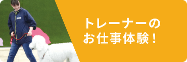 トレーナーのお仕事体験！