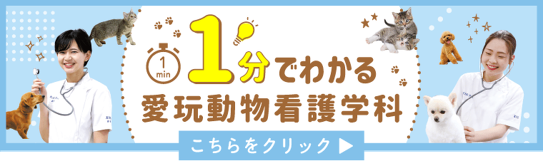 5分でわかる愛玩動物看護学科