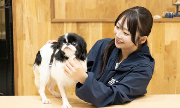 トリマー&トレーナー専攻