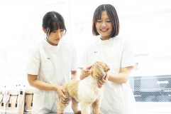 動物内科看護学