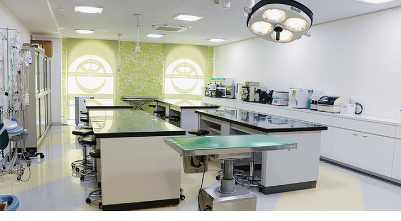 動物医療の現場と同じ設備、同じ器具を使用する看護実習