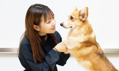 トレーナー＆動物看護コース