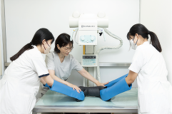 動物外科看護学実習