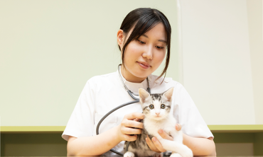 動物看護コース