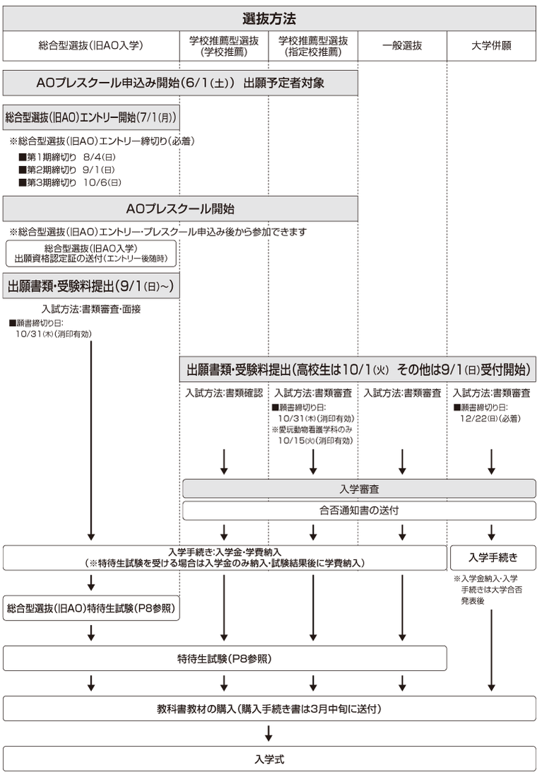 出願から入学まで