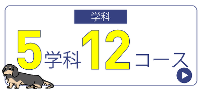 5学科12コース