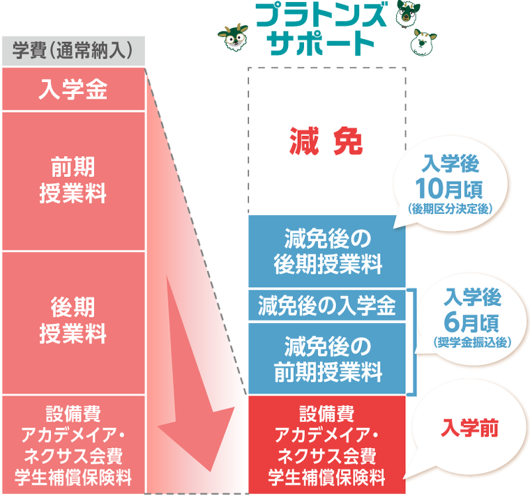 プラトンズサポートについて