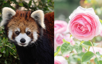 福岡市動植物園