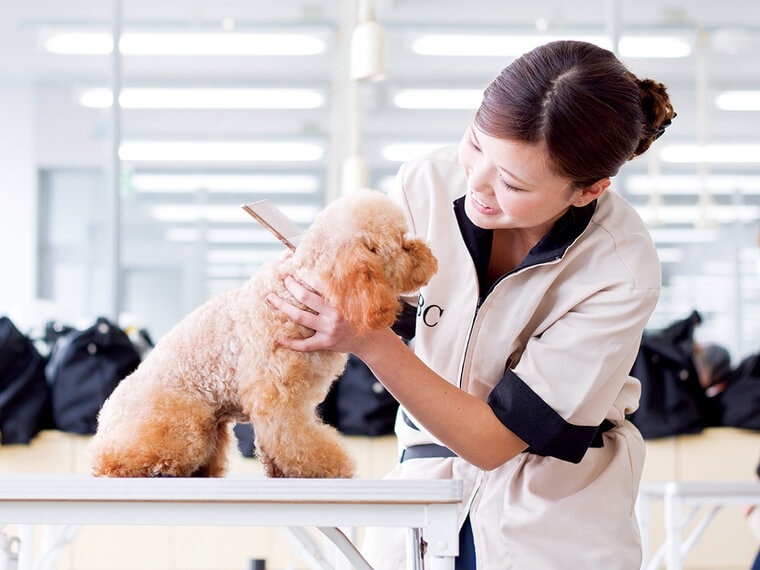 【オンライン】ペットビジネス学科・愛玩動物看護学科がわかる！講座