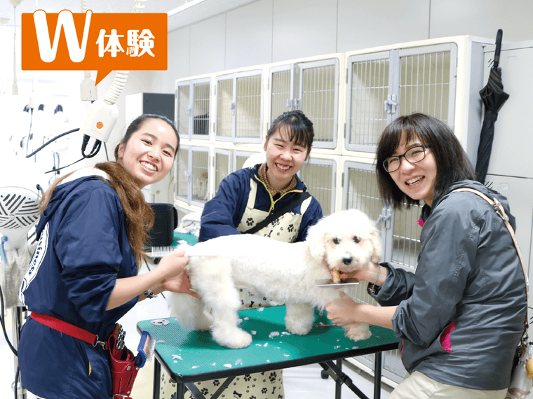 トリマー&動物看護講座