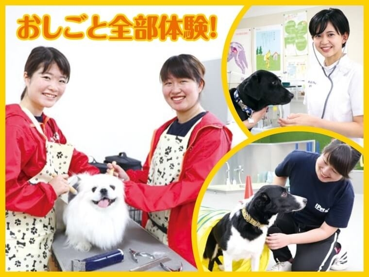 トリマー・動物看護・トレーナーおしごと全部体験!
