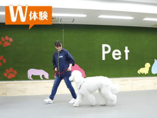 トレーナー＆動物看護講座