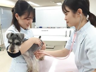 はじめてでも大丈夫！動物看護師のおシゴト体験