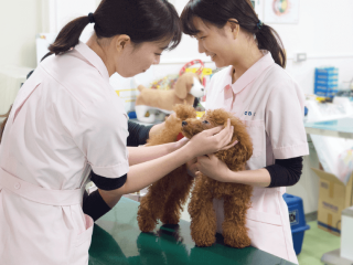 おうちのワンちゃんにも！
健康チェック体験