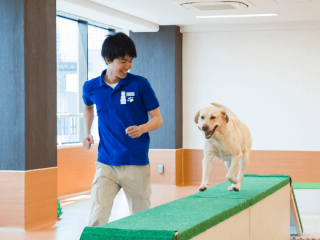 はじめてでも大丈夫！ドッグトレーナーのおシゴト体験