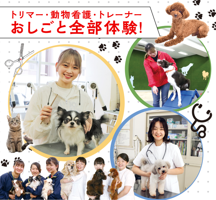 トリマー・動物看護・トレーナーおしごと全部体験!
