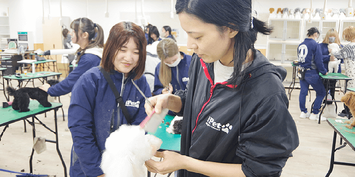 トリマー&動物看護講座