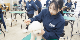 はじめてでも大丈夫！トリマーのおシゴト体験