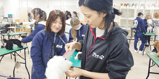トリマー＆動物看護講座