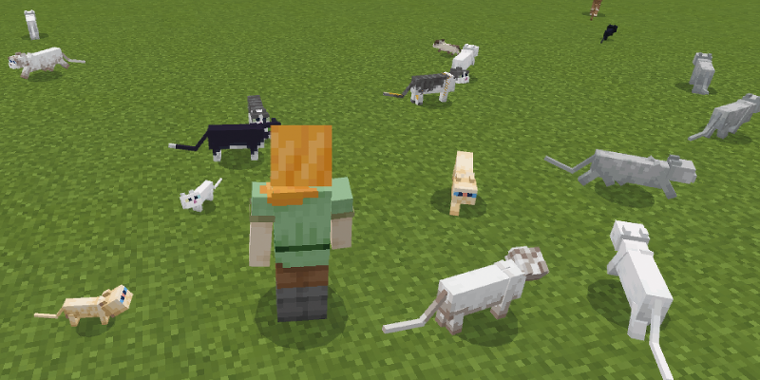 マイクラねこ研究所