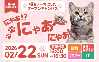 2月22日 猫をテーマにしたオープンキャンパス開催！