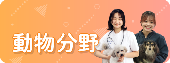 動物分野