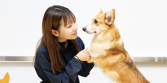 トレーナー＆動物看護講座
