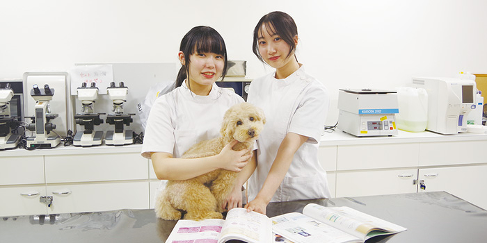 動物看護の試験問題にチャレンジ在校生と一緒に試験問題にチャレンジしてみよう！